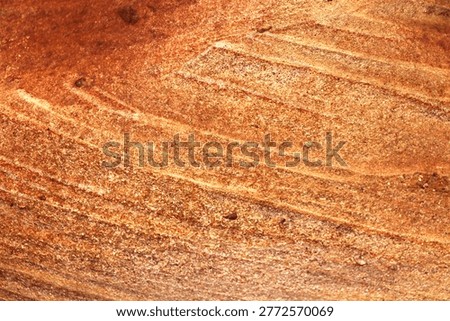 Sandstone texture is characterized by a rough, granular, and gritty feel, similar to sandpaper, created by cemented sand grains (mostly quartz or feldspar). It features a clastic, sedimentary look, often showing visible individual grains, natural layering, and earthy colors like beige, red, yellow, or grey
