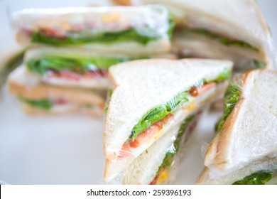 Sandwich In Plastic Wrap For Picnic