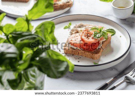 Sandwich or toast with tomatoes, cream cheese, olive oil and basil on a plate on white marble background. Traditional italian mediterranean food. Horizontal