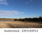 A sandy area with trees and a fence