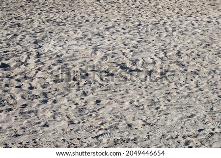 Sandy bank of the Danube river. Dry white sand.