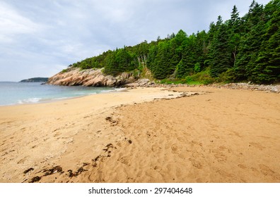 Sandy Beach At Acadia National Park