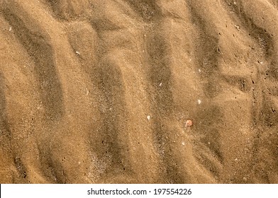 Sandy Beach For Background, Top View