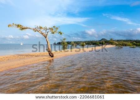 A sandy beach by the Tapajos river, in the Amazon forest, Brazil 