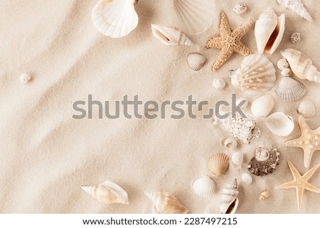 Sandy beach with collections of white and beige seashells and starfish as natural textured background for summer holiday and vacations concept
