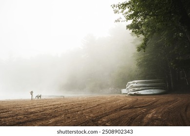 Sandy beach covered with a dense white fog. Canoes piled in the background under tree trees.  A bench sits empty by the water's edge. - Powered by Shutterstock