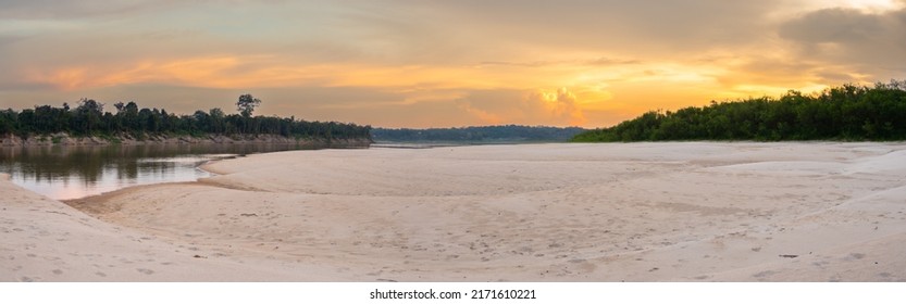 Sandy Beach At The Javari River, The Tributary Of The Amazon River, During The Low Water Season. Amazonia. Selva On The Border Of Brazil And Peru. South America.