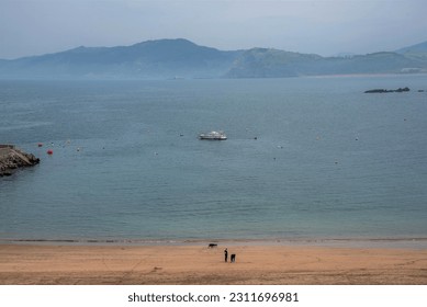 a sandy beach with a man walking his dog and a very blue sea with a boat and dark blue mountains in the background with a bit of mist. - Powered by Shutterstock