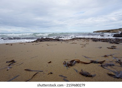 Sandy Beach With Mediterranean Sea In Cyprus Kyrenia