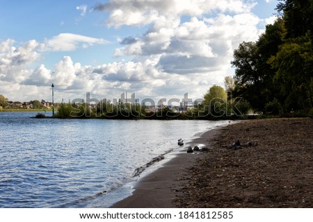 Sandy beach on the river rhine in beautiful summer, autumn weather in Wesseling - Germany between Cologne and Bonn