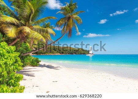 Sandy beach with palm trees and a sailing boat in the turquoise sea on Paradise island.