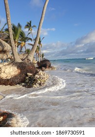 Sandy beach, palm trees and waves of the Atlantic ocean