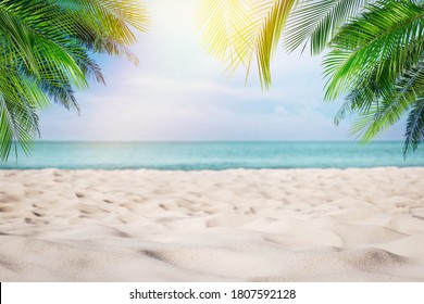 Sandy beach with palms near ocean on sunny day - Shutterstock ID 1807592128
