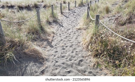 A Sandy Beach Path Leads To The Beach At Piha, New Zealand