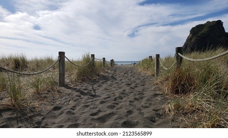 A Sandy Beach Path Leads To The Beach At Piha, New Zealand