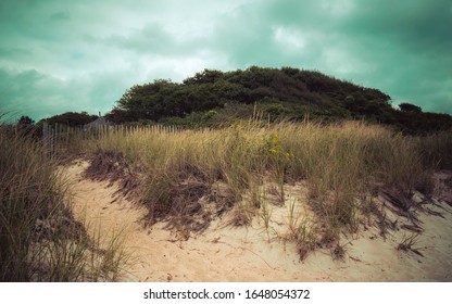 Sandy beach path through a grassy sand dune - Powered by Shutterstock