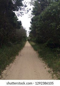 Sandy Beach Pathway