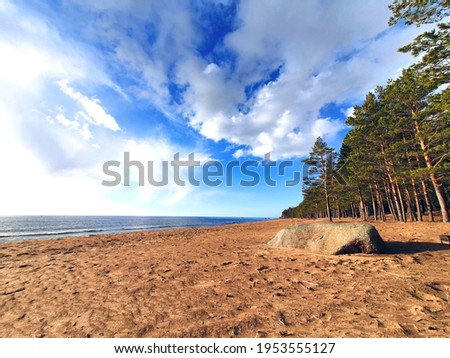 Similar – Image, Stock Photo wild Baltic coast in Poland