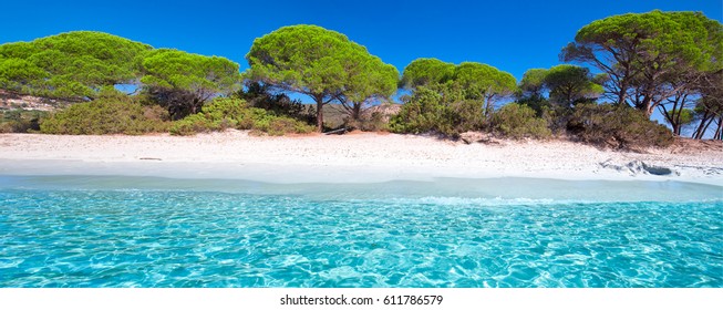 Photos Images Et Photographies De Stock De Bonifacio Shutterstock