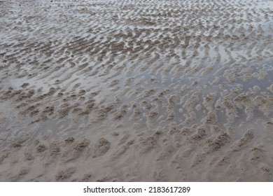 Sandy Beach With Ripple Marks At Low Tide