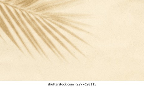 Sandy beach with shadow of palm leaves. Travel and vacations concept background with space for your own text