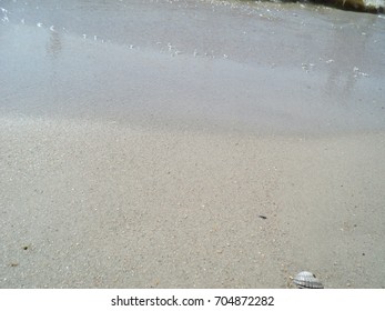 sandy beach with shells