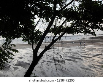 Sandy beach at sunset