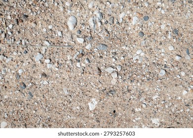 Sandy beach surface in close-up. Mixed pebbles and broken seashells visible. Natural texture of a coastal area. No plants or animals present. Clear view of sand and rock details