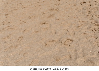 Sandy Beach Surface With Scattered Human Footprints and Textured Golden Sand Closeup