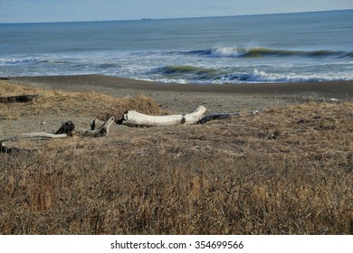 It is a sandy beach that was stopped when I was driving the Kushiro, Hokkaido suburbs. Very beautiful in a sunny winter sky and the wide sea was magnificent.