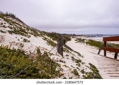 Sandy Beach Trail By The Dunes