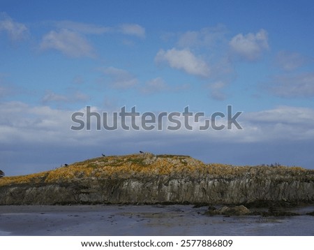 Similar – Image, Stock Photo rocky beach section with hotel facilities panorama on the coast of Benalmádena, in Andalusia, Spain