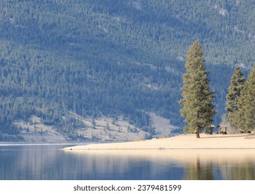 Sandy Beach with Tree Reflection