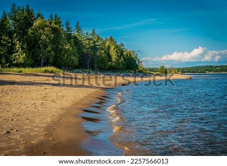 Sandy beach  and trees Lake Michigan northern Michigan summertime