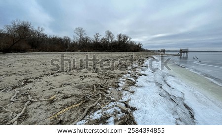 Image, Stock Photo Shore from roots in an inland water body