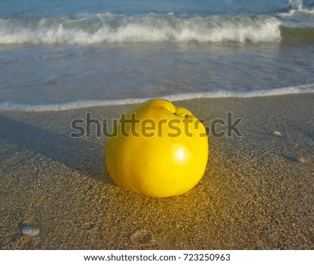 Similar – Image, Stock Photo lost property Colour photo