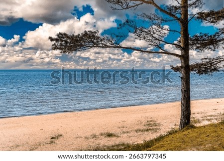 Sandy beaches, dunes and pine forests in Jurmala - famous tourist resort and recreational place in Latvia, beautiful nature and happy retirement, relaxation and bliss vacations


