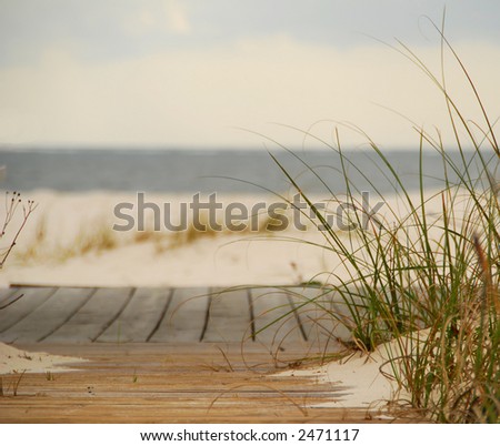 Sandy Boardwalk