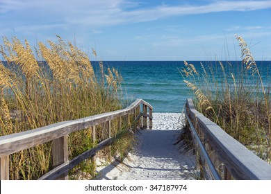 Sandy boardwalk path to a snow white beach on the Gulf of Mexico with ripe sea oats in the dunes