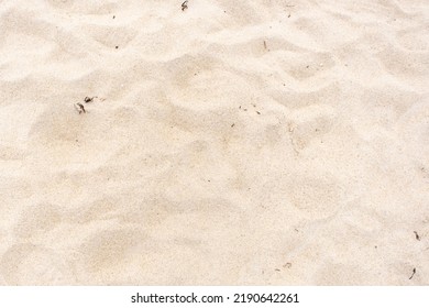 Sandy Brown Background. Sand Nature Texture In Summer Sunny Day