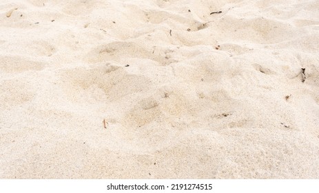 Sandy Brown Background. Sand Nature Texture In Summer Sunny Day