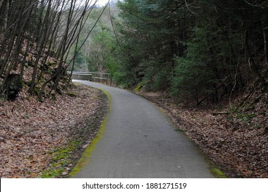 Sandy Creek Trail In Winter