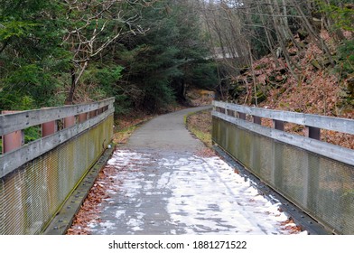 Sandy Creek Trail In Winter