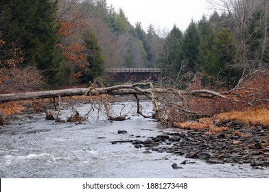 Sandy Creek In The Winter