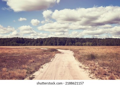 Sandy Dirt Road, Color Toning Applied.