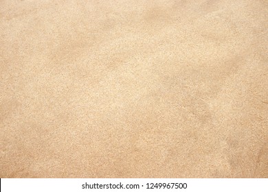 Sandy Floor White