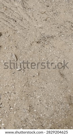 Sandy Ground Mixed with Pebbles and Shell Fragments
