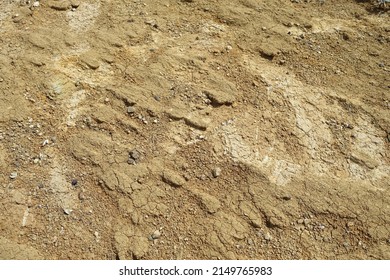 Sandy And Hard Rock Yellow Soil, Soil Layers, Soil Formation,