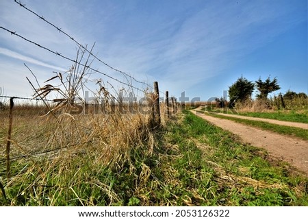 Sandy lane with barbwire wooden fence in nature on a sunny spring day with blue sky