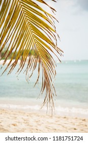 Sandy Lane Beach Barbados